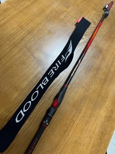 スポーツ スキー