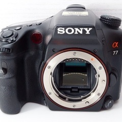 ☆SONY α77☆人気○高速連写○2430万画素○スマホ転送