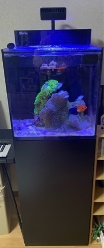 RedSea max Nano セット