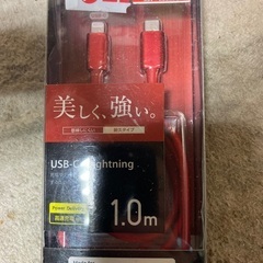 2ヶ月後の後払い可能　usb-c to lightning