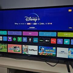 LG 48インチ OLED TV OLED48A2PJA