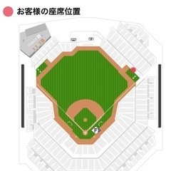 日ハム観戦チケット エスコンフィールド ブルペンシート最前列 ペア