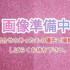 箏(※条件有り)