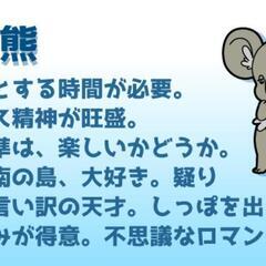 集まれ！動物占いコアラたち🐨