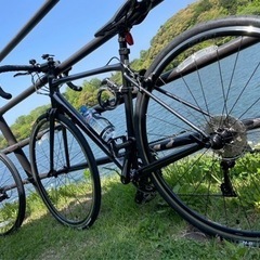 受け渡し予定者決まりました！】GIANT contend2