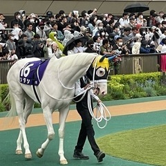 NHKマイル現地観戦！競馬に興味のある方〜♪