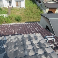 屋根の塗装の周期に関して思うこと