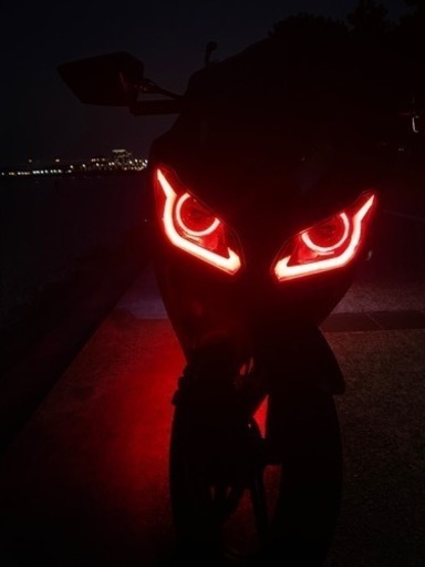 カワサキ Kawasaki Ninja250R