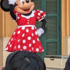 これからディズニー行きませんか?