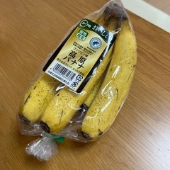 引取先決定【本日中】未開封　大きいバナナ5本