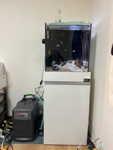 オルカ45センチオーバーフローセット