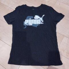 PUMAキッズ160cm