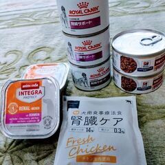 【新品】犬用　腎臓サポート療養食