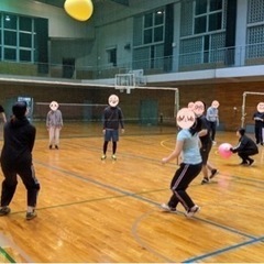 軽運動スポーツサークルメンバー大募集🏸