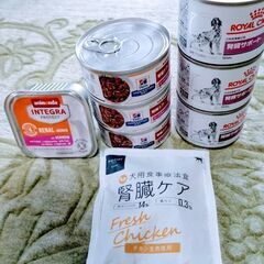 【新品】犬用　腎臓サポート療養食