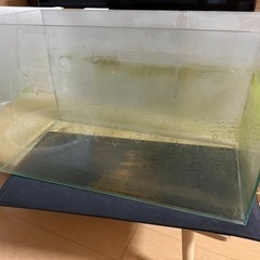 60cm規格水槽 レグラス 