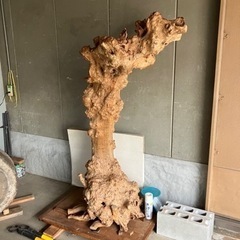 超レアオブジェ】銘木 桑の木 出土50年