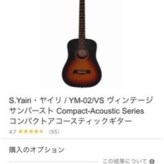 S.Yairi・ヤイリ / YM-02/VS ヴィンテージサンバ...