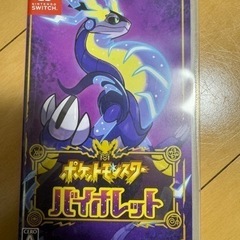 【美品】Switch ポケットモンスター ヴァイオレット 動作確認済み