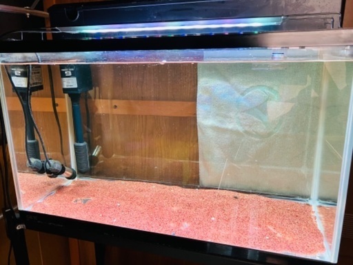 60㎝水槽2セット