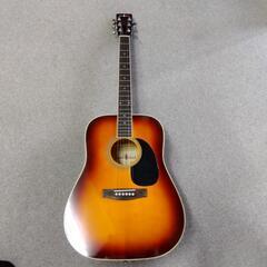 Wood Land アコースティックギター WD-110BS


