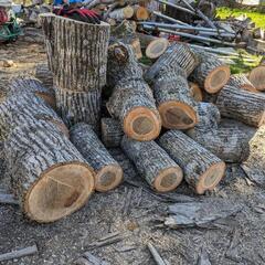 広葉樹　薪　1㎥〜　タモ　アサダ　リンゴ等 広葉樹 薪 1㎥〜 タモ アサダ リンゴ等