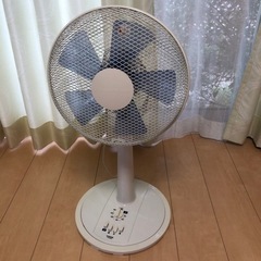 家電 季節、空調家電 扇風機2