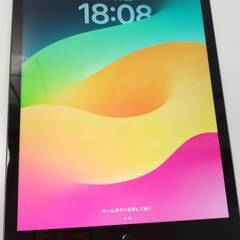 【ネット決済・配送可】【Wi-Fiモデル】iPad 第9世代/2...