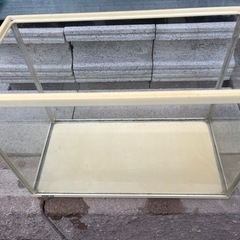 GEXガラス水槽(36cm)+オマケ