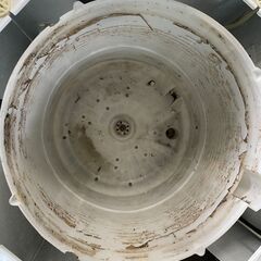 洗濯機の分解クリーニング行っています！配送設置込み　ハイアール4.5K洗濯機　2020年製　分解クリーニング済み！！