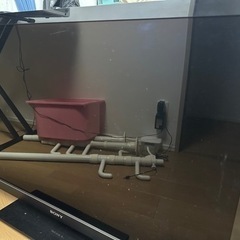 テレビ