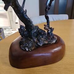 美品 貴重 海松 黒珊瑚 原木 周囲約10センチ