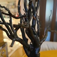 美品 貴重 海松 黒珊瑚 原木 周囲約10センチ