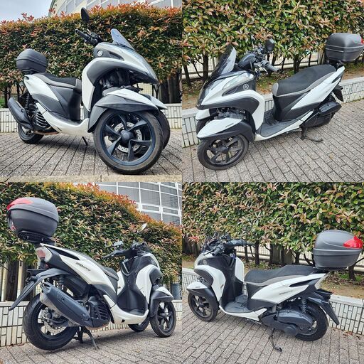 【普通免許仕様もOK】トリシティ125ABS付 SEC1JブルーコアE/G ホワイト 下取り格安出品★TRIX★ 普通免許仕様もOK】トリシティ125ABS付 SEC1JブルーコアE/G ホワイト