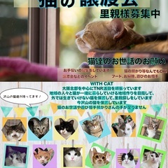 茨木市　おにクル　保護猫の譲渡会