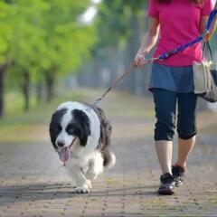 ワンコを飼われてる方とお友達になりたいです。