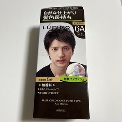 ルシード ワンプッシュケアカラー アッシュブラウン 1剤50g・...