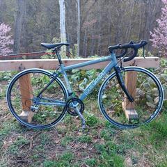 ビアンキ　ローマ3 現状販売品　送料無料 BIANCHI ( ビアンキ ) クロスバイク ROMA 3 ( ローマ 3 ) ブルー