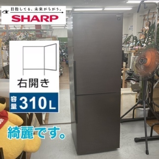 期間限定の特別値下げ！！S136 ⭐ 高年式 SHARP 2ドア冷蔵庫 （310L・幅56cm・右開き）23年製 SJ-PD31J ⭐ 動作確認済 ⭐ クリーニング済