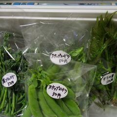 5月2日品出し予定の新鮮野菜スナップエンドウ、タラの芽、かき菜、...