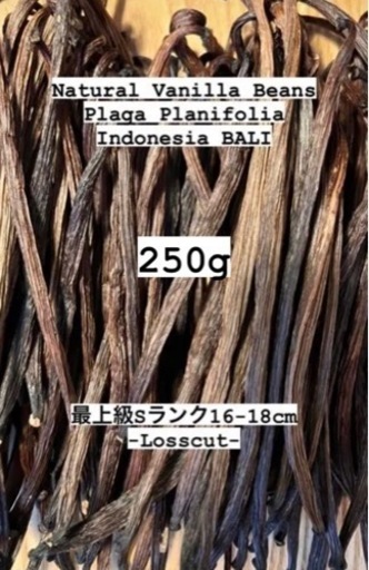 【最上級Sランク】大容量 バリ島プラガ産 バニラビーンズ ブルボン品種 250g