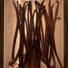 【最上級Sランク】大容量 バリ島プラガ産 バニラビーンズ ブルボン品種 250g