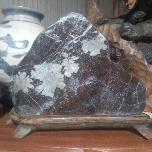 自然の美・菊花石 希少・美石】菊花石 菊紋石 白菊 赤花 重量