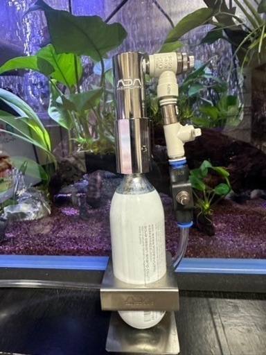 本日限定‼️CO2アドバンスシステム-フォレスト  水槽