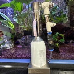 本日限定‼️CO2アドバンスシステム-フォレスト  水槽 