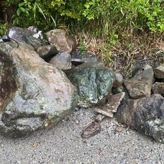 大きめの庭石　