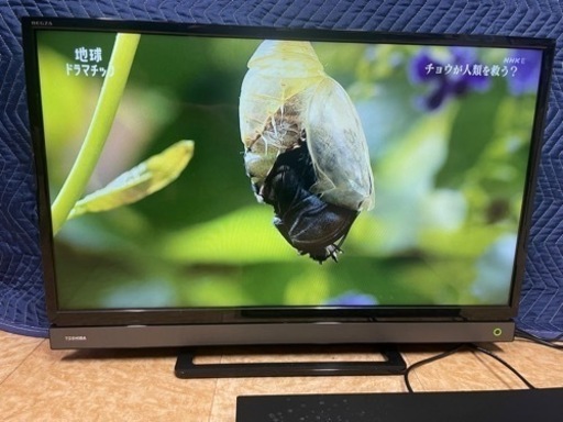 東芝 　液晶テレビ　2019年製造