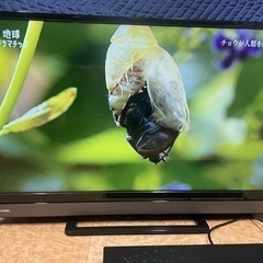 東芝 　液晶テレビ　2019年製造