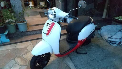 ホンダ ジョルノ･スポルト(ホワイト)