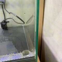 エーハイム　ガラスケージ　45×60